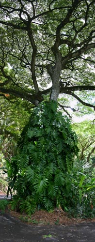 IMG_2662-2663