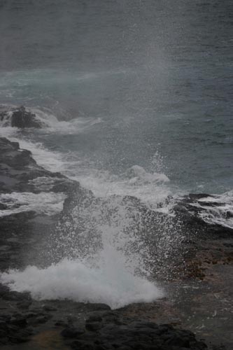 IMG_3247