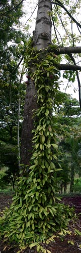 IMG_3306-3308