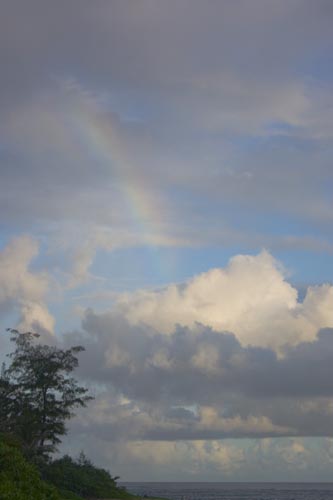 lastMorningRainbow