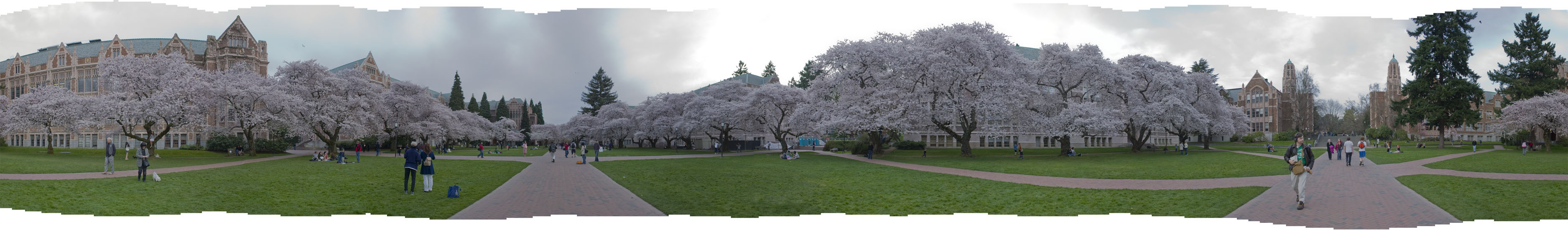 pano